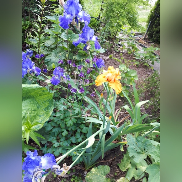 FUN FUNKY AND WILD👯♀️👯♂️👚👘👠💍👒👜💄🎒🛍 Low prices and reduced shipping - Picture 2 of 2